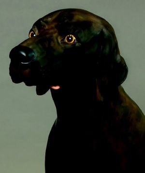 rm germanpointer pagina 1 immagine