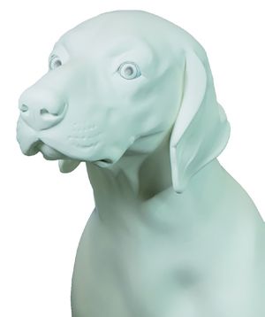 rm germanpointer pagina 1 immagine