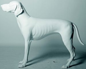 rm germanpointer pagina 1 immagine
