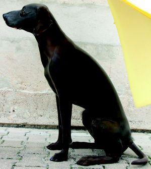 rm germanpointer pagina 1 immagine