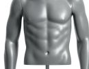 semiro torso graux400