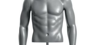semiro torso graux400