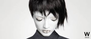 p14 15 news