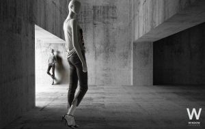 81